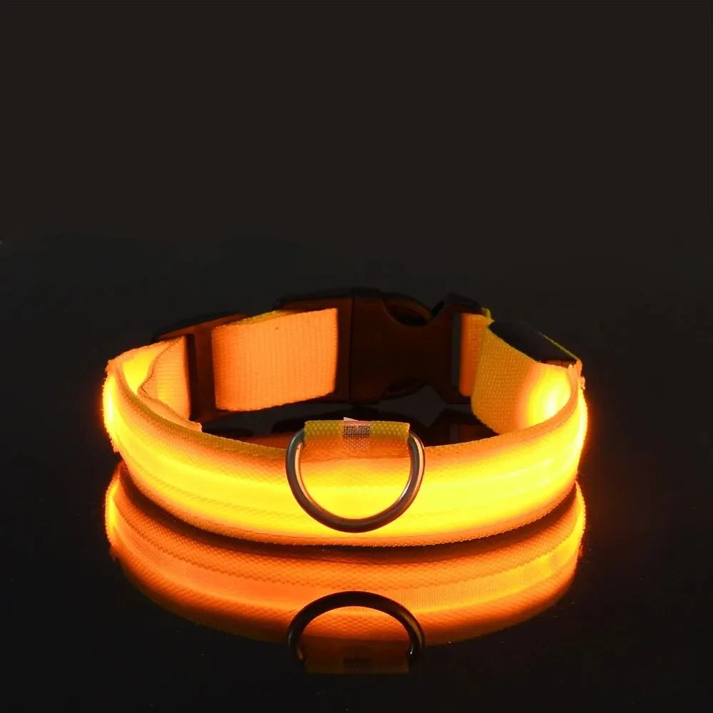 Nylon LED Night Safety Dog Leash & Collar – Glow in the Dark