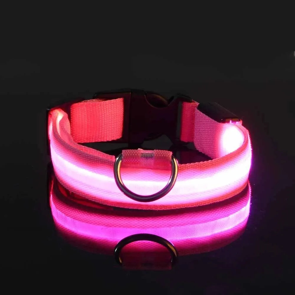 Nylon LED Night Safety Dog Leash & Collar – Glow in the Dark