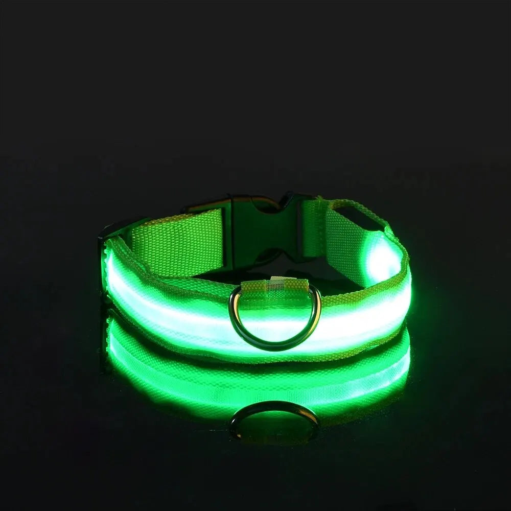 Nylon LED Night Safety Dog Leash & Collar – Glow in the Dark
