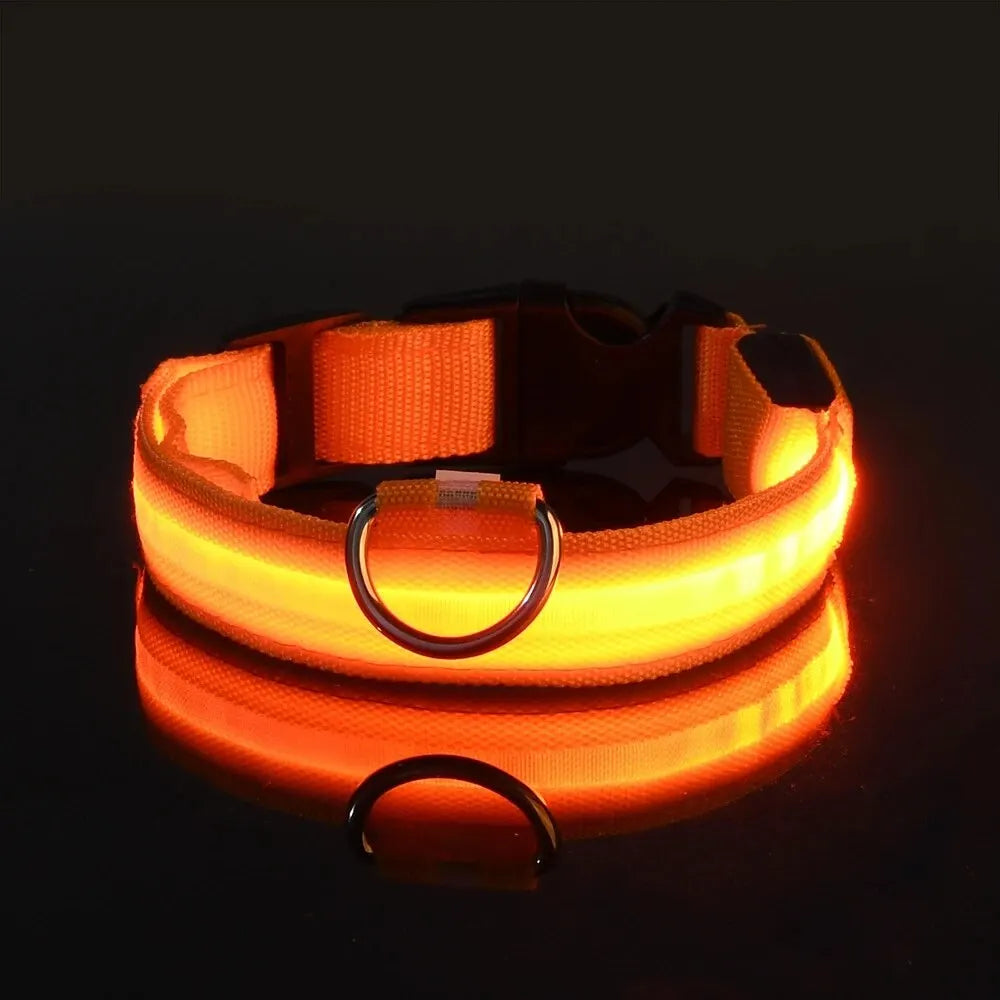 Nylon LED Night Safety Dog Leash & Collar – Glow in the Dark