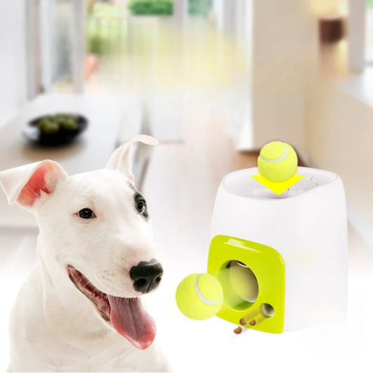 Dog Automatic Tennis Training and Reward Machine