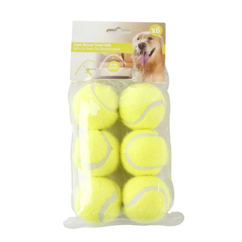 Dog Automatic Tennis Training and Reward Machine