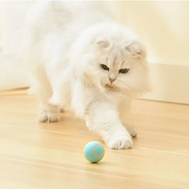 Automatic Moving Cat Toy – Interactive Rechargeable Rolling Ball