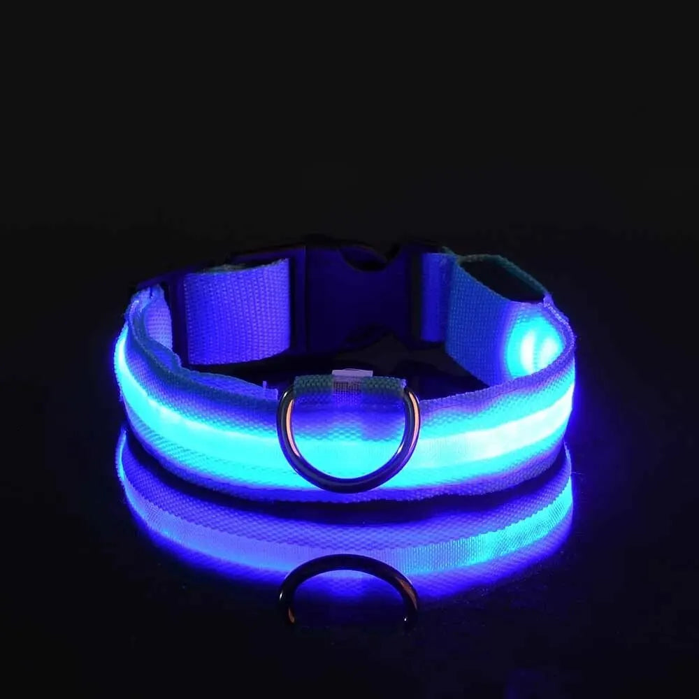 Nylon LED Night Safety Dog Leash & Collar – Glow in the Dark