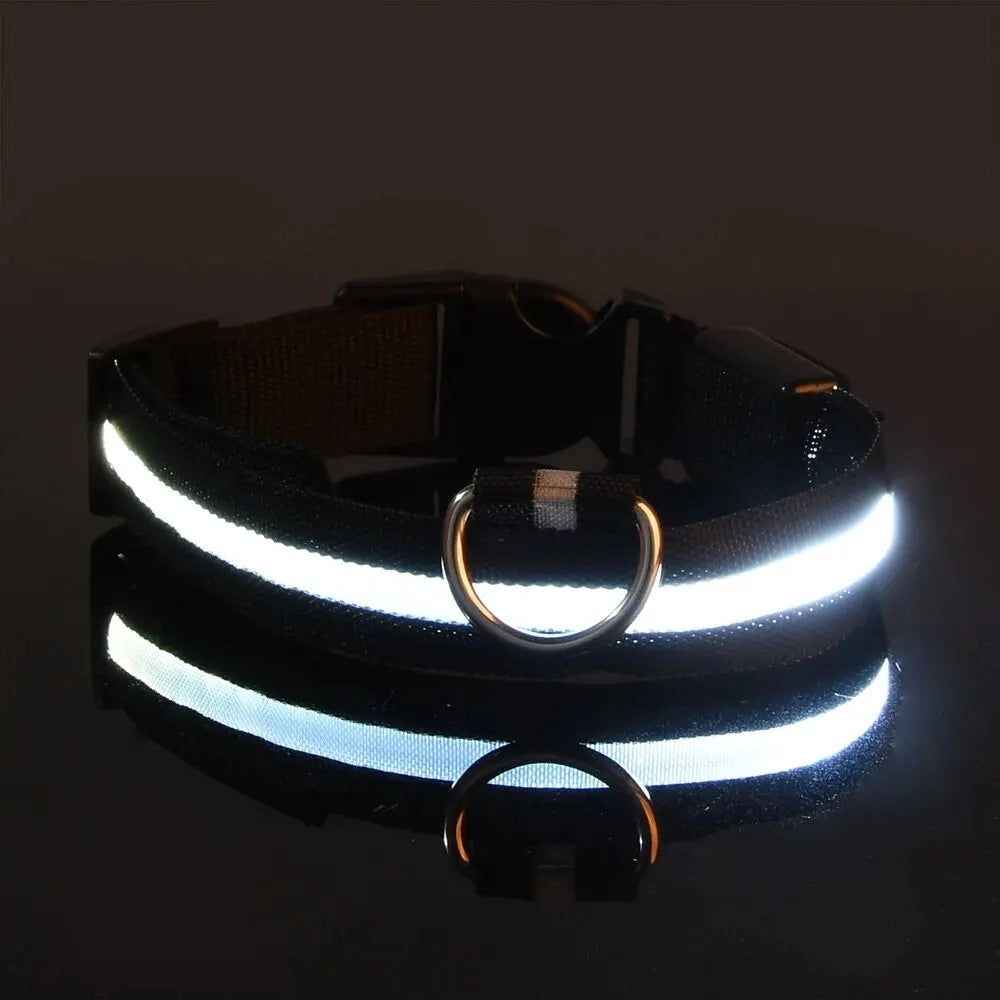 Nylon LED Night Safety Dog Leash & Collar – Glow in the Dark