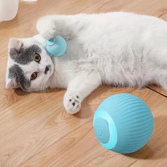 Automatic Moving Cat Toy – Interactive Rechargeable Rolling Ball