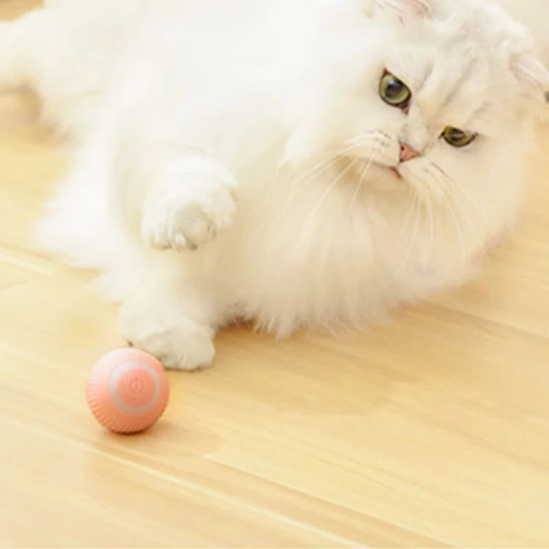 Automatic Moving Cat Toy – Interactive Rechargeable Rolling Ball