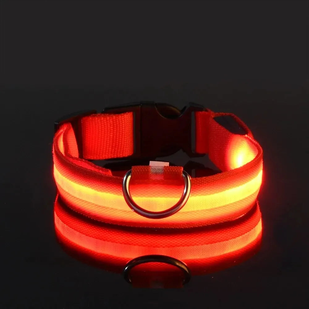 Nylon LED Night Safety Dog Leash & Collar – Glow in the Dark