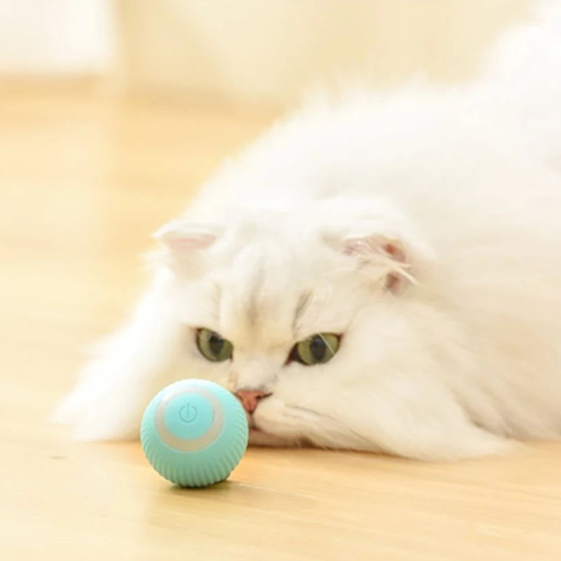 Automatic Moving Cat Toy – Interactive Rechargeable Rolling Ball