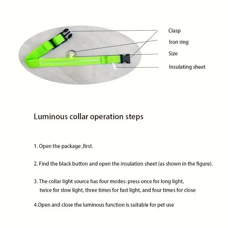 Nylon LED Night Safety Dog Leash & Collar – Glow in the Dark