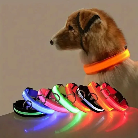 Nylon LED Night Safety Dog Leash & Collar – Glow in the Dark