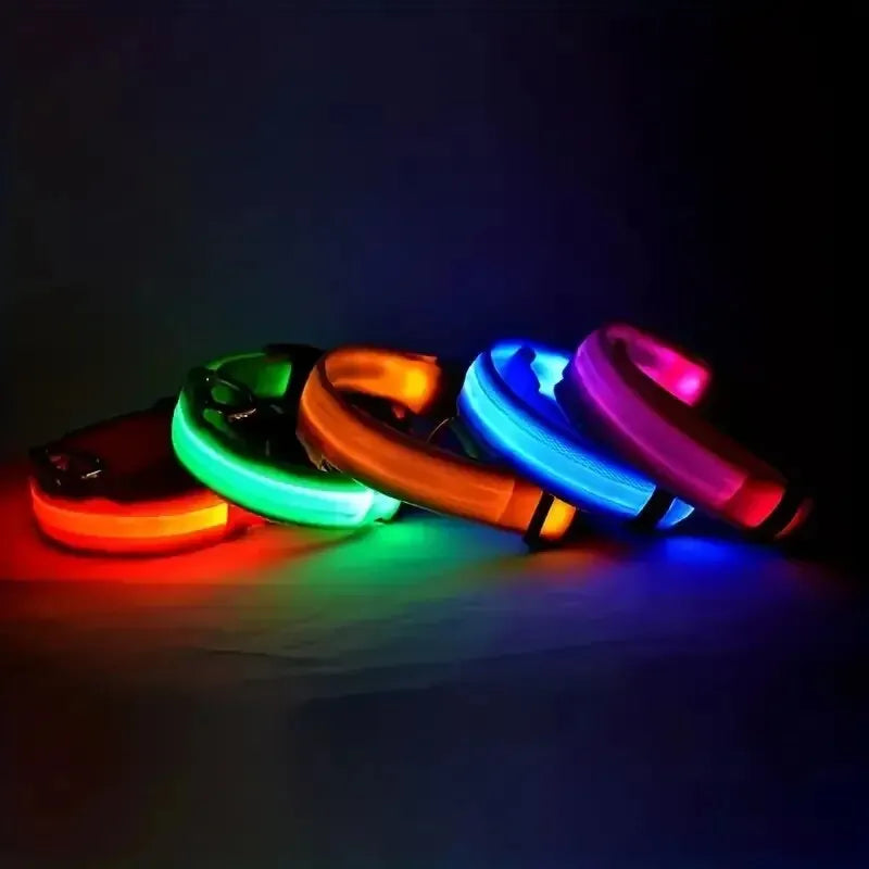 Nylon LED Night Safety Dog Leash & Collar – Glow in the Dark