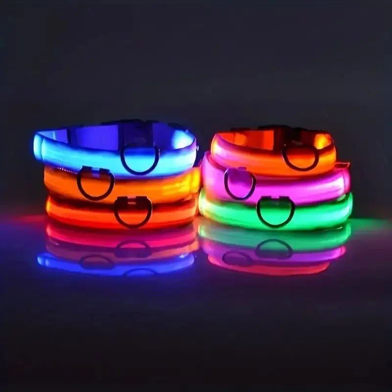 Nylon LED Night Safety Dog Leash & Collar – Glow in the Dark
